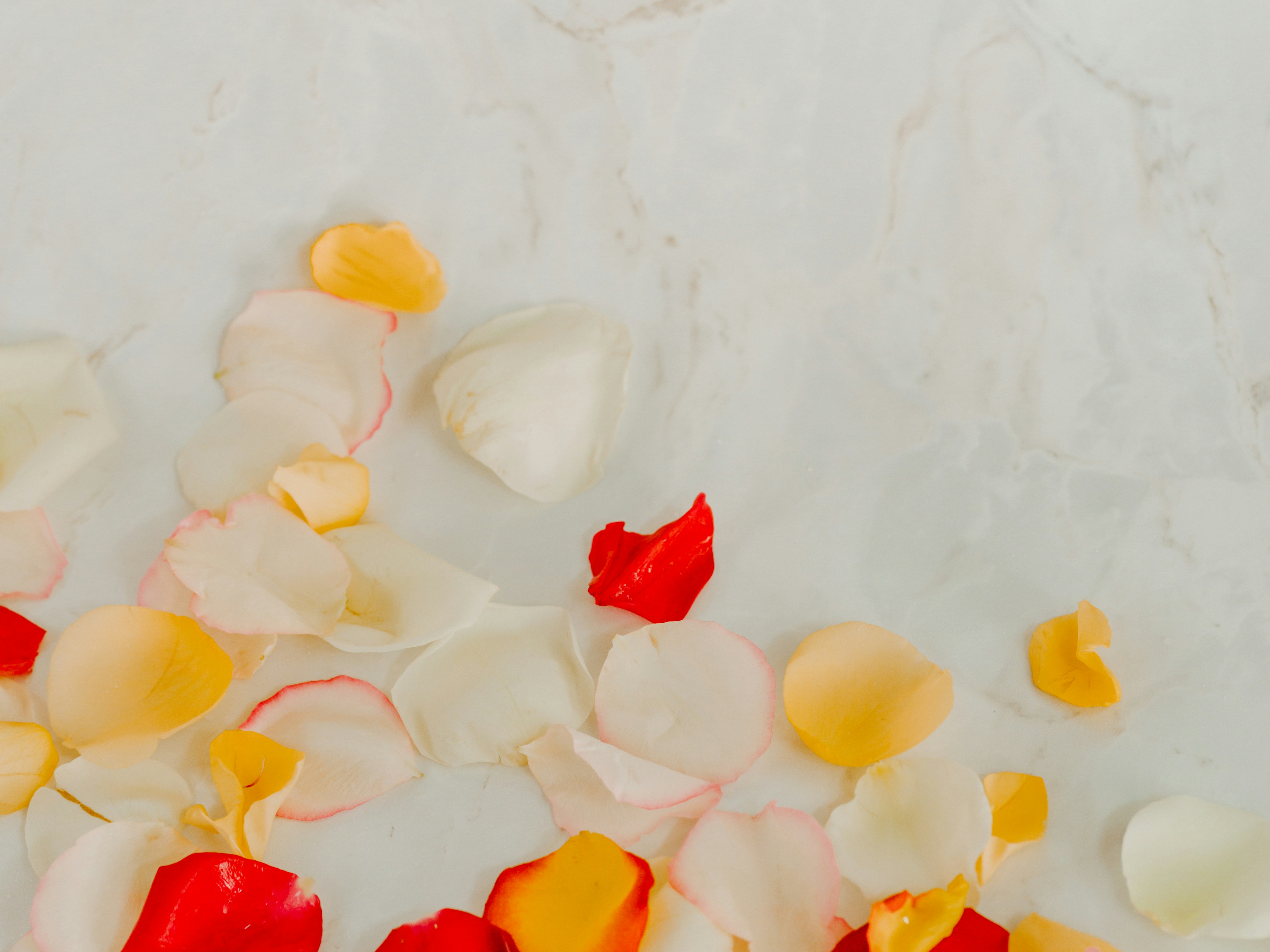 有吉佐和子の「青い壺」（フラメンコブログ　フラメンコ教室エルソル）